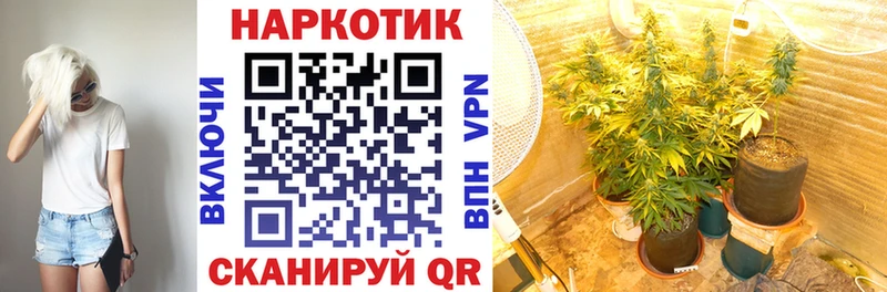 Купить наркоту Серов Галлюциногенные грибы  Меф мяу мяу  Кокаин  мега ONION  ГАШИШ  MDMA  Бошки Шишки  Амфетамин 