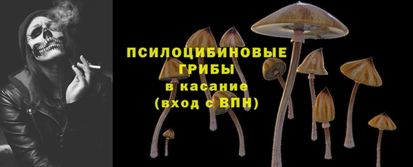 первитин Алексеевка