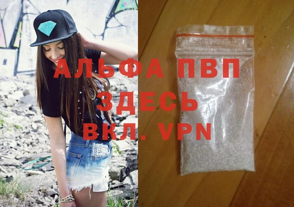 стафф Алзамай