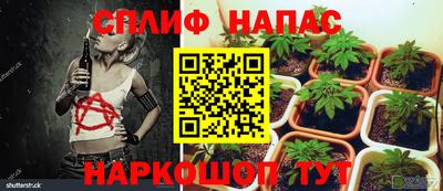 стаф Пыть-Ях