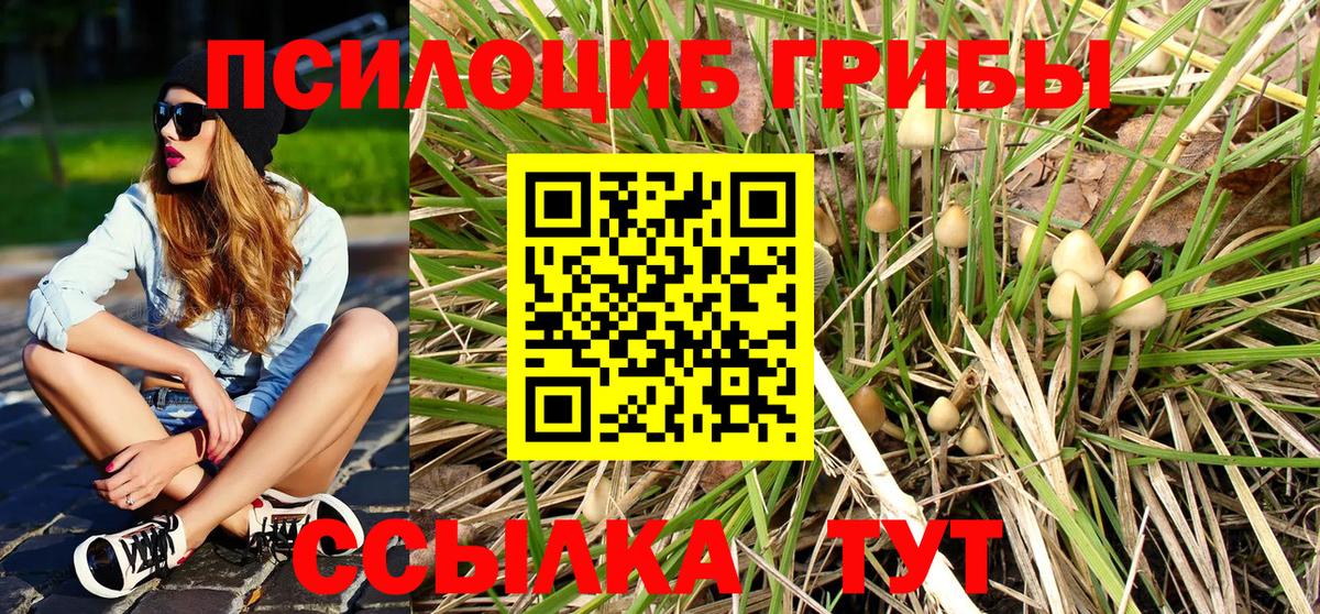 Псилоцибиновые грибы Psilocybe  Галлюциногенные грибы GOLDEN TEACHER  Вход с VPN  Серов 